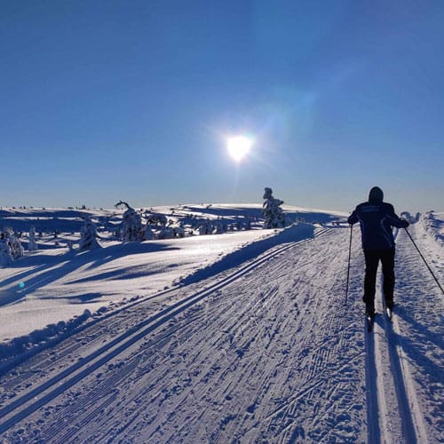 sjusjoen sjusjoen