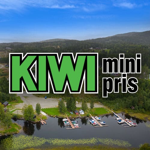 kiwi naeroset kiwi naeroset